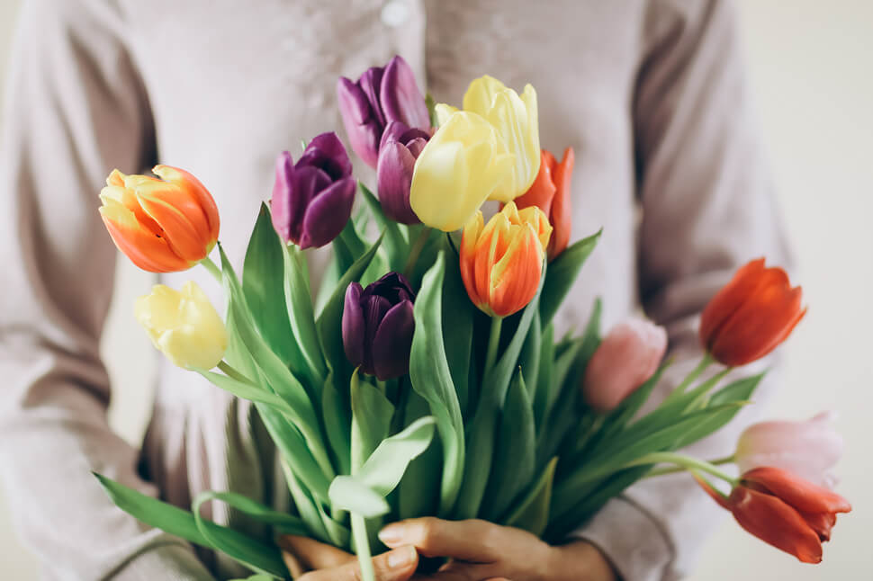 What Flower Represents Friendship